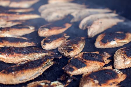 A lot of fish on the grill. Street food cooking processの写真素材