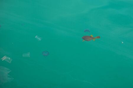 Plastic trash in sea or ocean. Plastic bottles, bags, straws and cups underwater. Environmental...