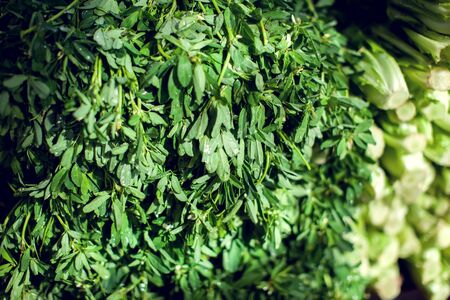 Fresh herbs dill, parsley, spinach, mint, wild garlic at market. Organic vegetables and fruits