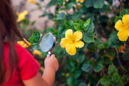 A portrait of kid girl holding magnifier and looking at flower. Childhood and discoveries conceptの写真素材