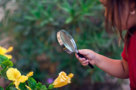 A portrait of kid girl holding magnifier and looking at flower. Childhood and discoveries conceptの写真素材