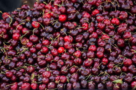 Cherry background. Fresh and organic foodの写真素材