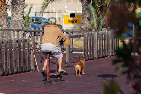 Senior woman using exercise machines outdoor. Small dog is waiting for woman. Lifestyle and healthcare conceptの写真素材