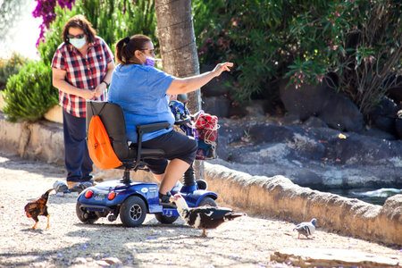 Torrevieja, Spain, 05/24/2021, Woman in electric wheelchair feeding birds in the park. Lifestyle and animal therapyのeditorial素材