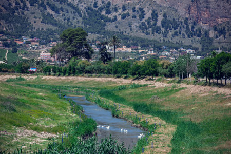 Spain nature, Orihuela city landscape. River, Mountains and greenの写真素材