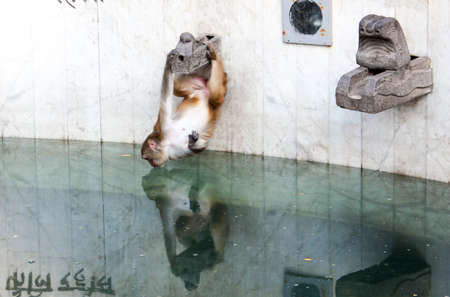 Thirstyの写真素材