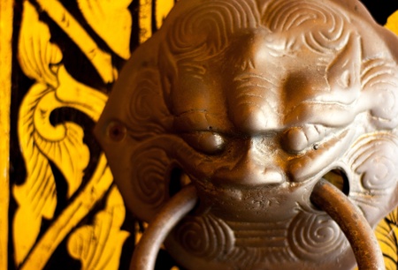 lion face door handle 