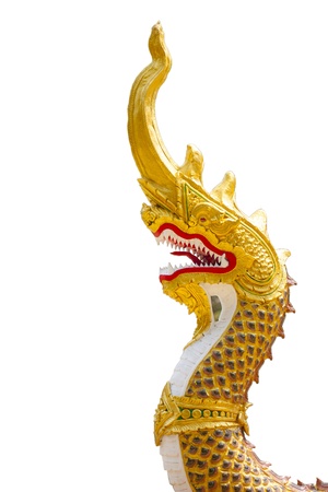 naga banisterの写真素材