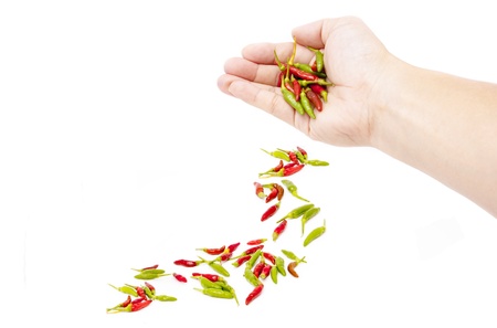 hand strew chilliの写真素材