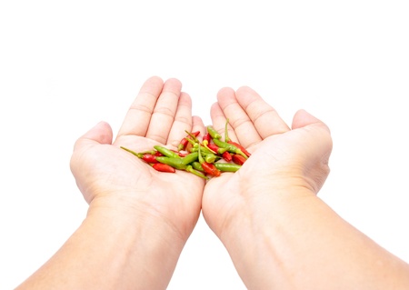 fresh chilli in hands on white backgroundの写真素材
