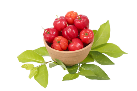 acerola fruitの写真素材