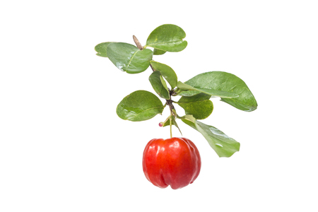 acerola fruit with leaf isolated on whiteの写真素材