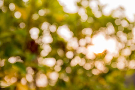 beautiful bokeh and backgroundの写真素材