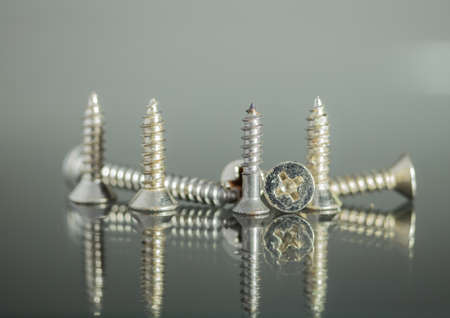 screws with shadow