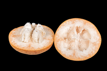 Santol fruit isolated on blackの写真素材