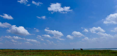 White clouds in the blue sky and green fieldの写真素材