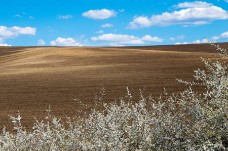 Plowed land.の写真素材