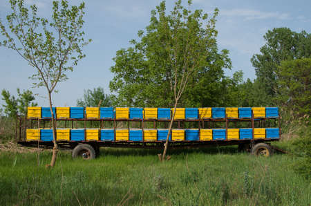 Beehives mounted on a trailer. Portable apiary.の写真素材