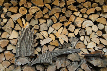 Firewood. Split and stacked firewood for the winter.