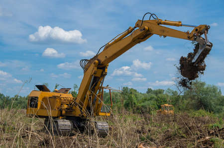 Destruction of forests with digger.  Seizure of forest land for agriculture.の写真素材