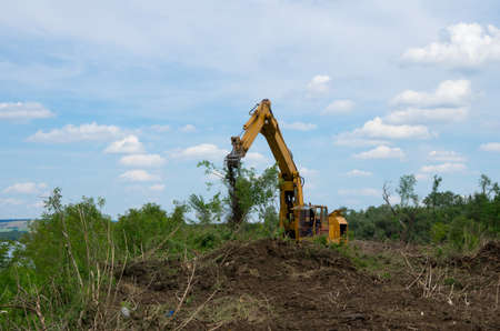Seizure of forest land for agriculture. Destruction of forests.