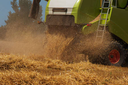 Combine harvester. Harvesting of wheat. Reaper reaps  crops at harvest, when they are ripe.の写真素材