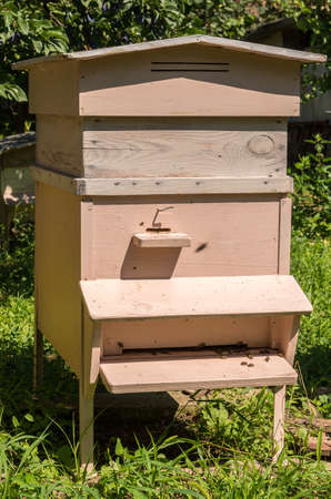 Wooden beehive for bees on honeycombs.
