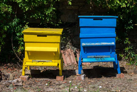 Wood colourful hives for bees. Beekeeping agriculture.の写真素材