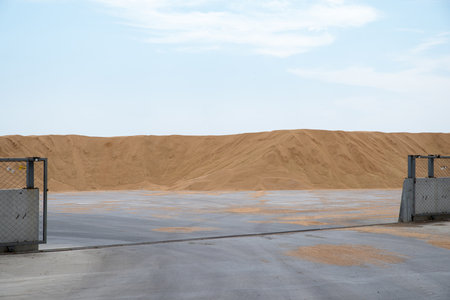 Wheat harvest folded into a big pile.の写真素材