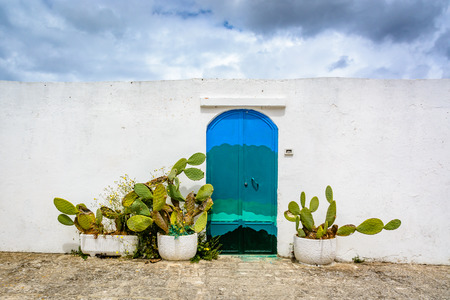 Blue door and cactus on white wall in Ostuni, Puglia, Italyの写真素材