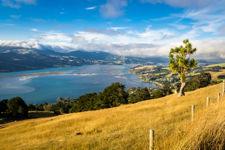 Landscape of an overview from a hill in New Zealandの写真素材