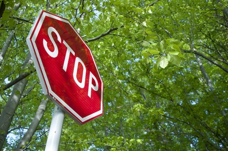 Stop in forestの写真素材