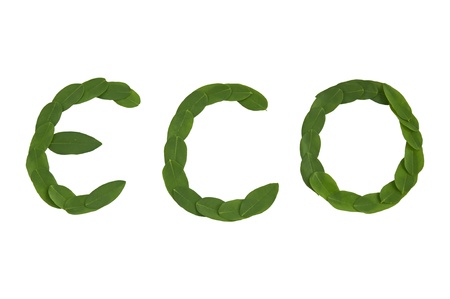 Eco text.Natural leafs made. Isolated on white