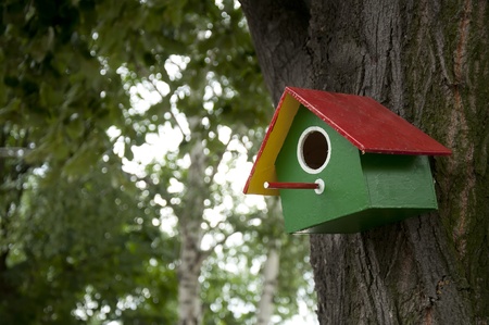 Home-made bright colored bird house. Space for text or other contentの写真素材