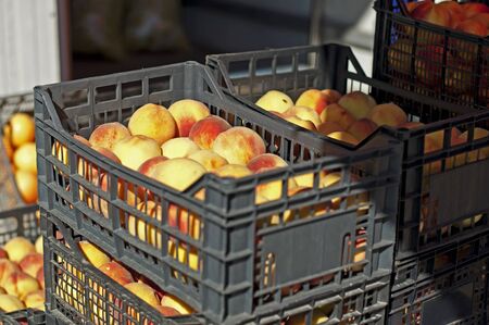 Peaches in the crates in Wholesale marketの写真素材