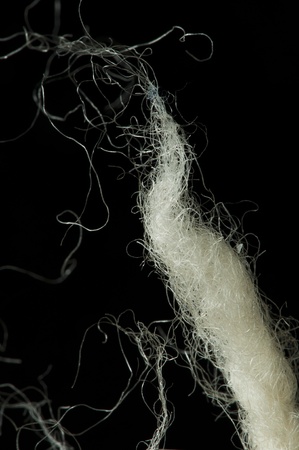 White wool fibers closeup. Black isolatedの写真素材