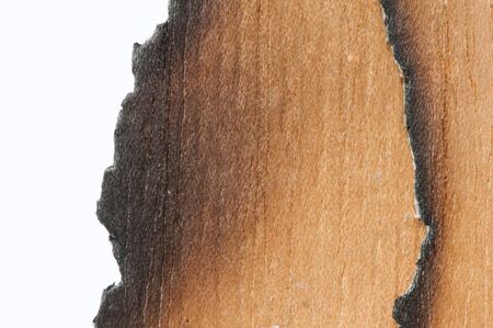 Burned wooden paper and blank space