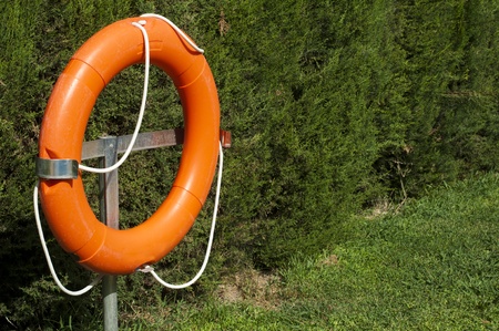 Buoy and green fence background