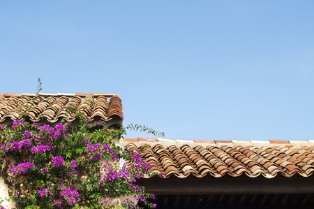 Tile roof and purple flowers. Blue sky copy space