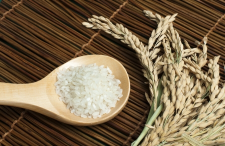 Rice baldo in wooden spoon on wooden base. Rice branchの写真素材