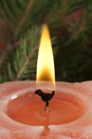 Christmas candle on the festive Christmass tableの写真素材