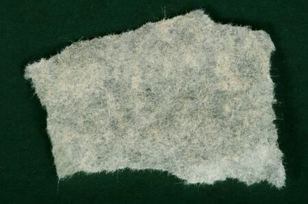 White torn paper on dark green background