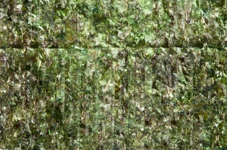 Green algae nori to turn sushi