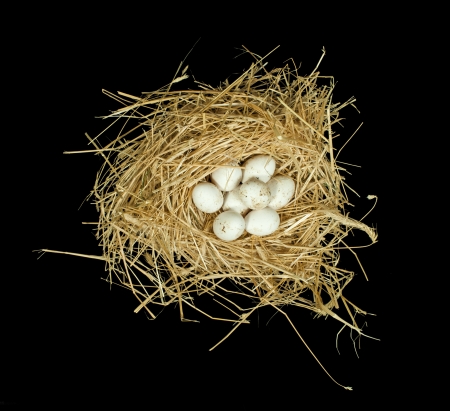 Organic white eggs from domestic farm. Eggs in a straw nest. Black isolated.の写真素材