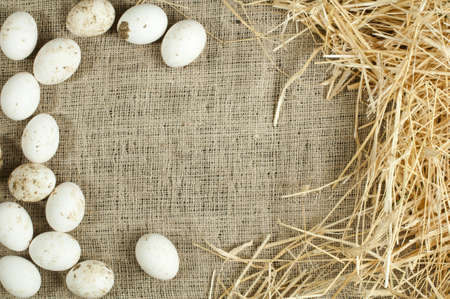 Organic white eggs on sackcloth and straw. Copy space
の写真素材