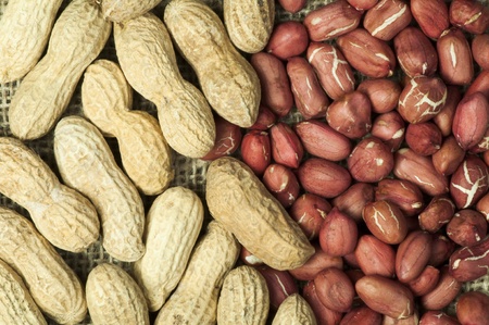 Closeup Peanuts on burlap.Raw peanuts in shells and shelled peanuts. Arranged as borderの写真素材