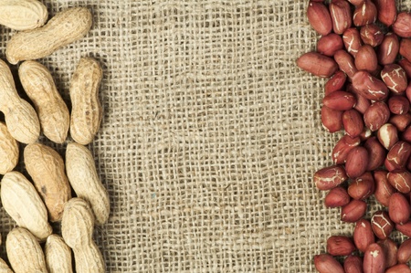 Closeup Peanuts on burlap.Raw peanuts in shells and shelled peanuts. Arranged as borderの写真素材