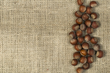 Closeup hazelnuts on burlap. Arranged as borderの写真素材