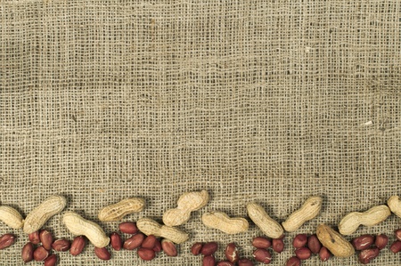 Closeup Peanuts on burlap.Raw peanuts in shells and shelled peanuts. Arranged as borderの写真素材