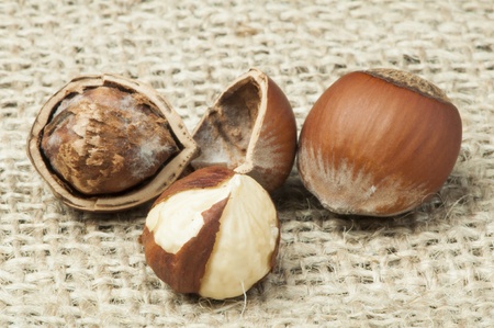 Closeup raw hazelnuts on burlap. One broken hazelnut and other purposes.
